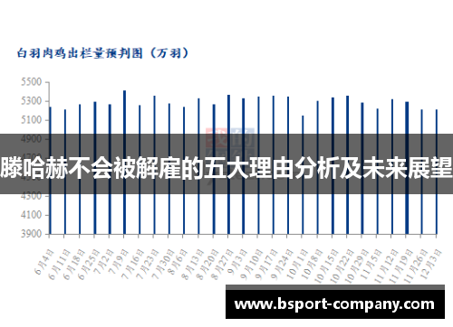 滕哈赫不会被解雇的五大理由分析及未来展望