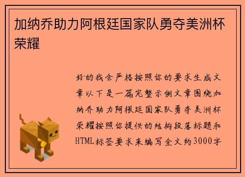 加纳乔助力阿根廷国家队勇夺美洲杯荣耀